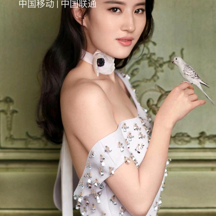 花园上的飞蛾