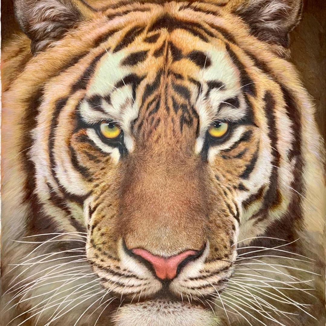 天行健-君子以自强不息