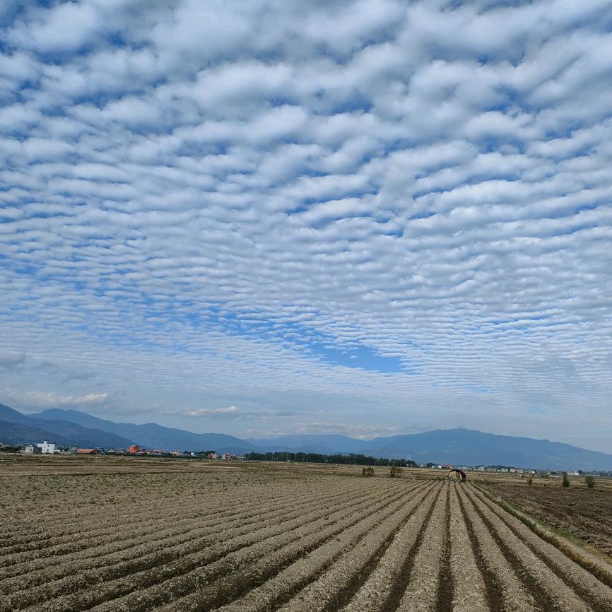 杨科(齐朵朵大红甲）