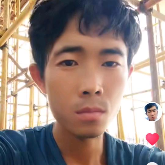 一顿半小杨