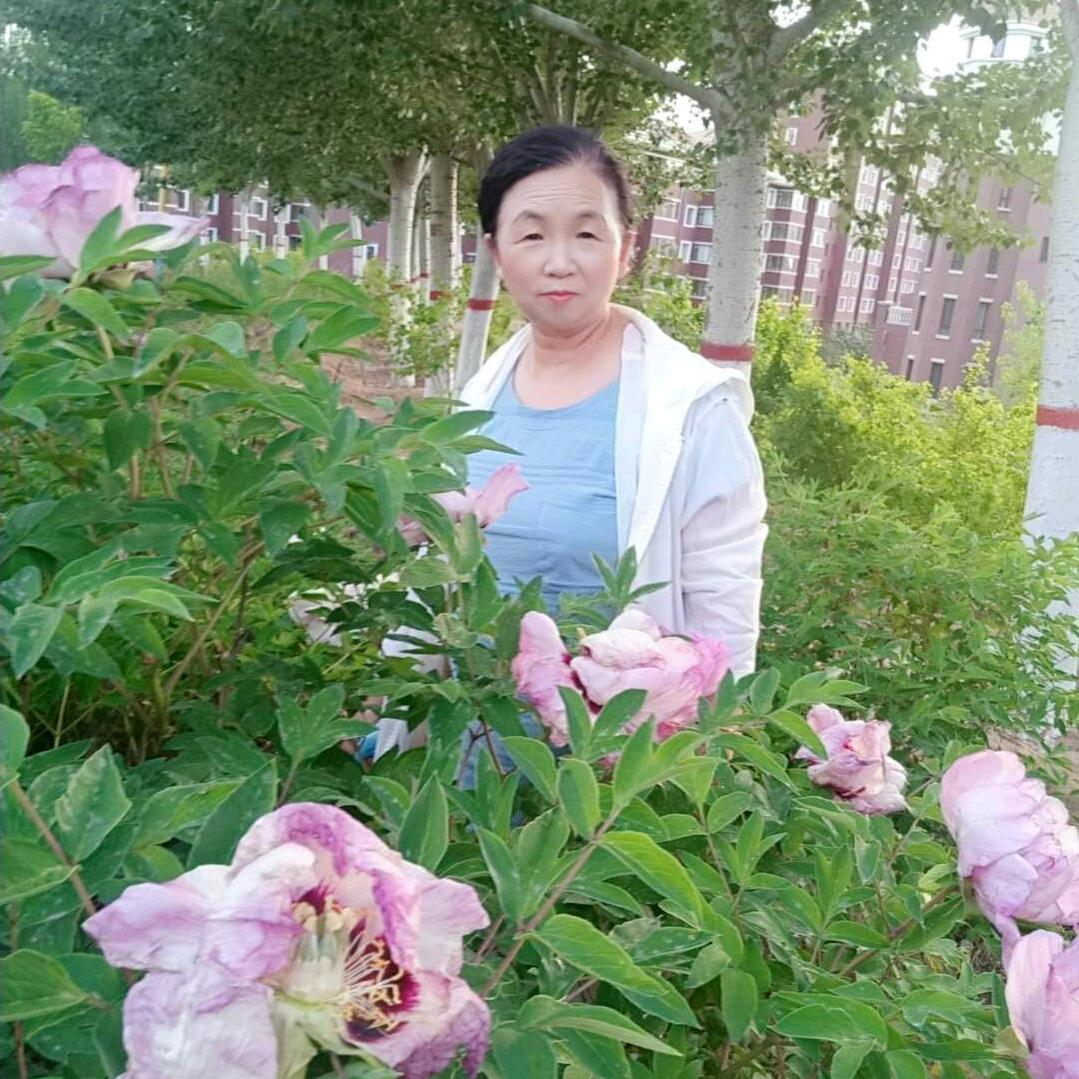 菊花茶（每晚9点直播)