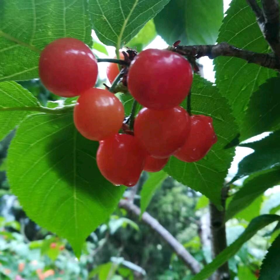 米欧娱乐设备