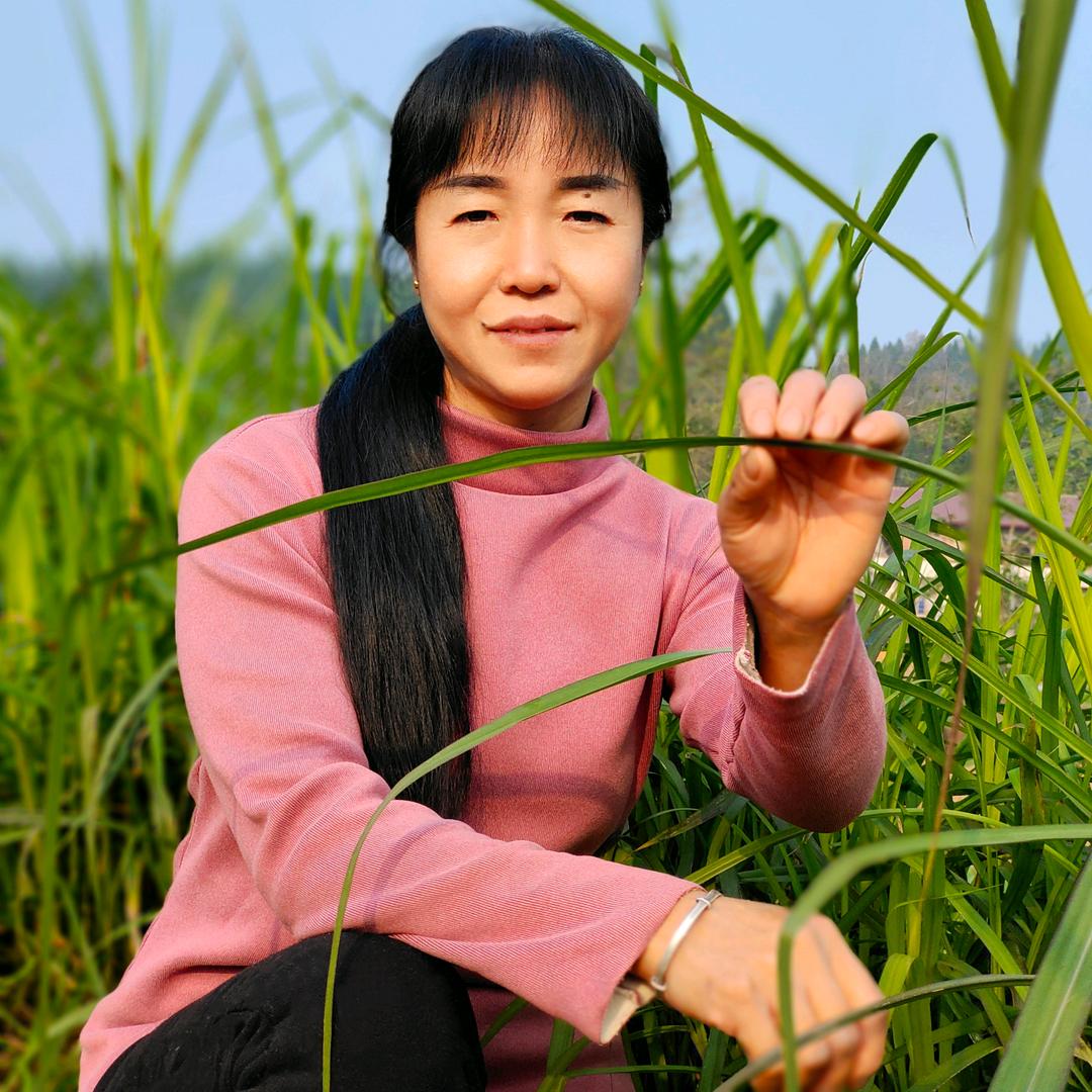 蔡菜
