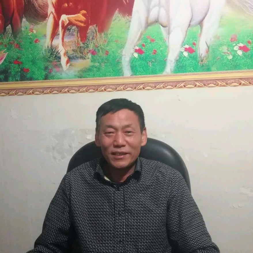秦哥