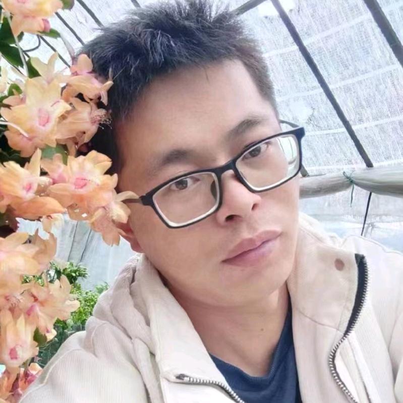 永福十里花街 蟹爪兰