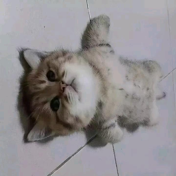 阿西⑧