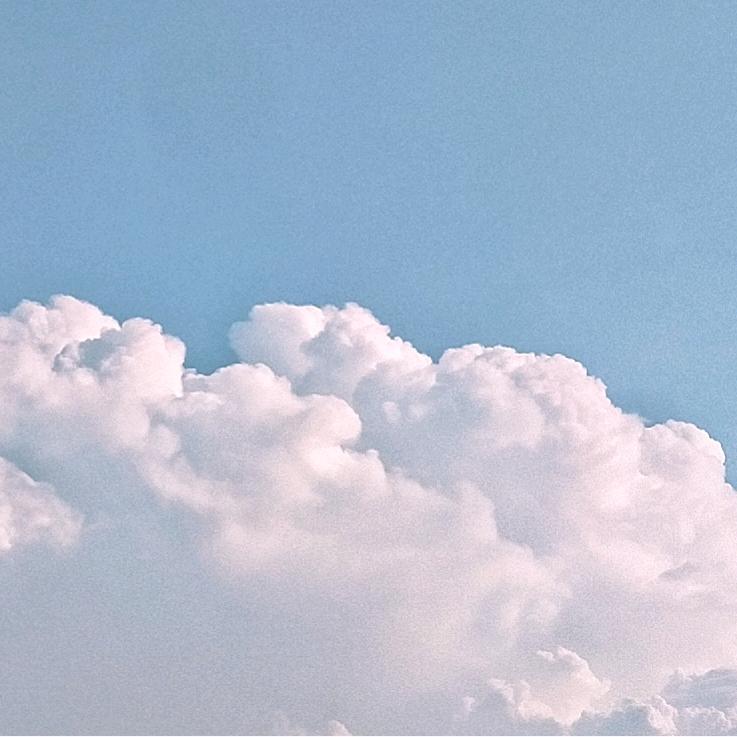 朝朝欢喜