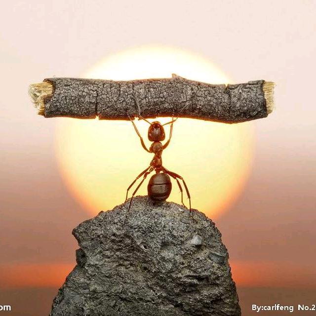 👉天富木材👈