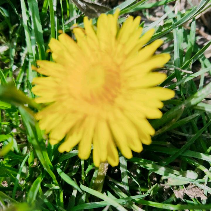 会笑的眼睛真美