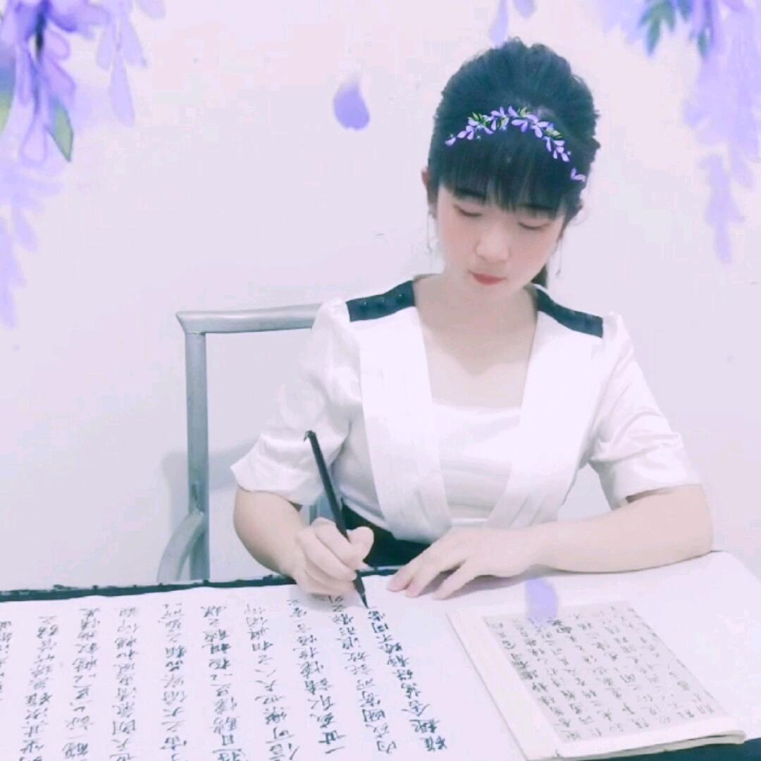 金金书法🌺