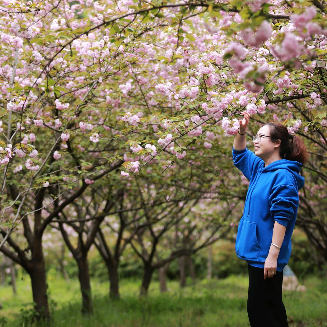 yun⛅️duo☁️de🌸yun