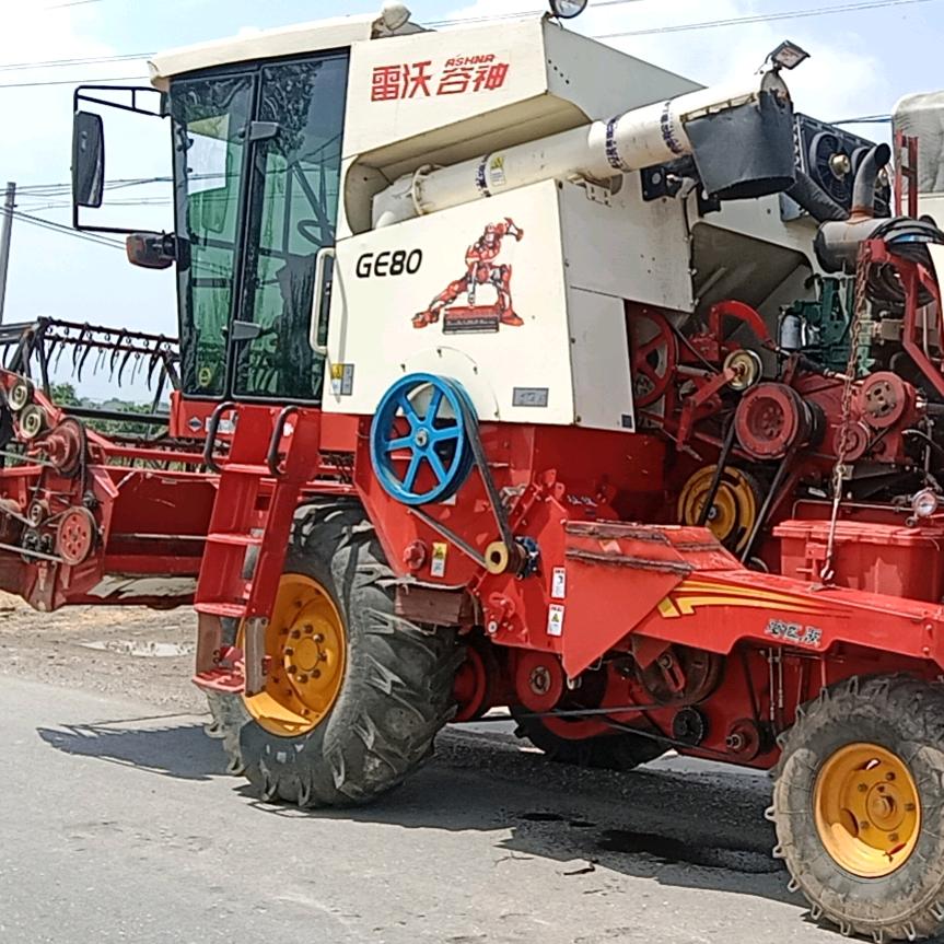 小麦玉米🌽收获  杨