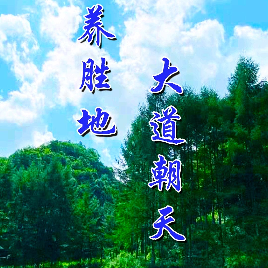 背包走天下