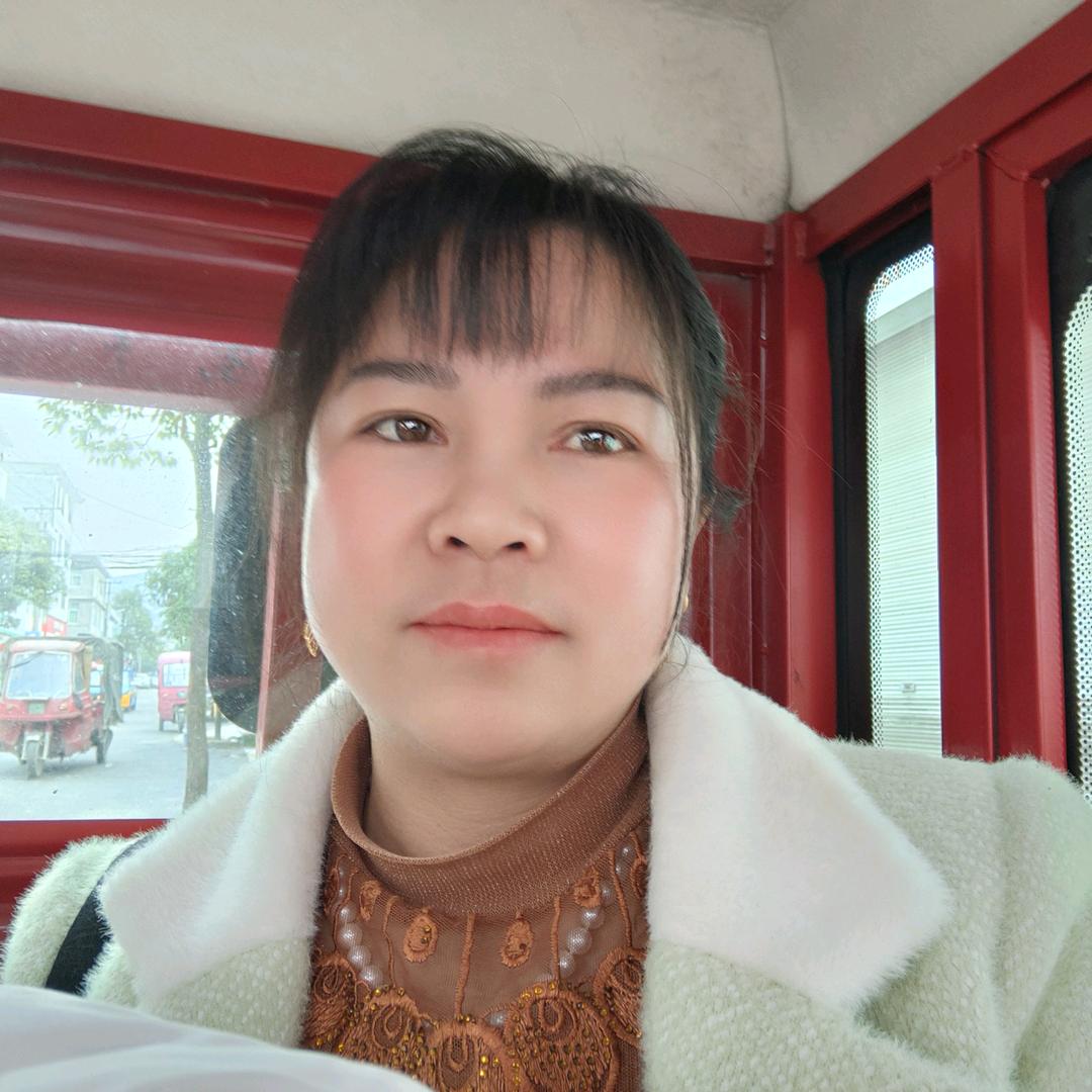 小菊