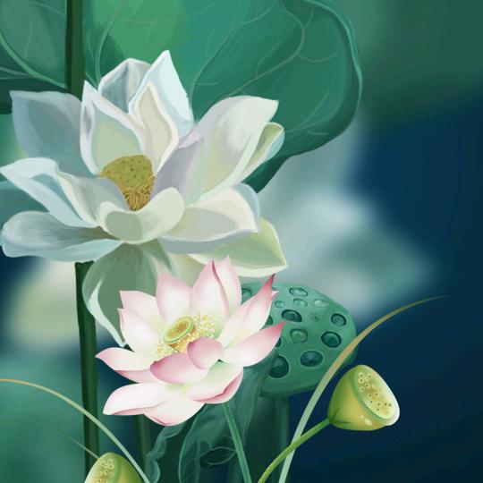 开心麻花飞翔