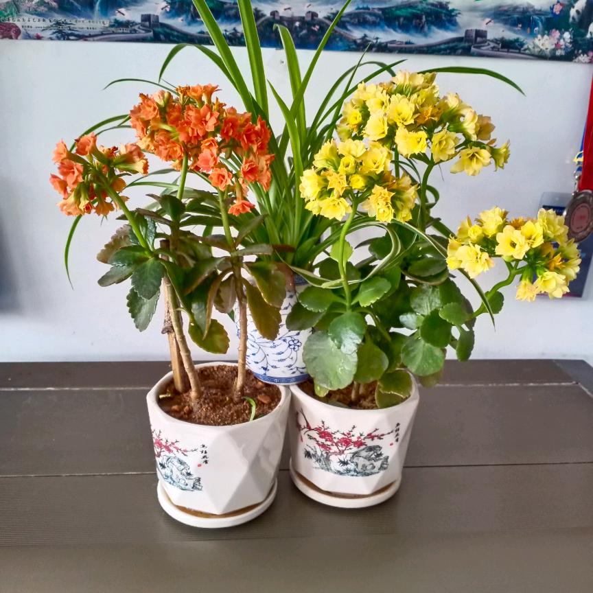 我种地我快乐