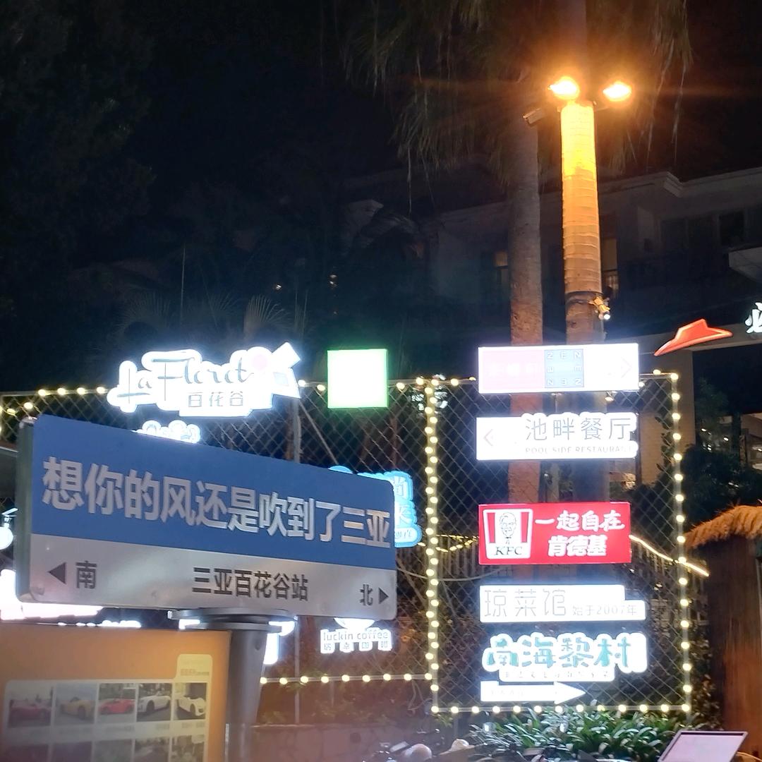 张逍遥