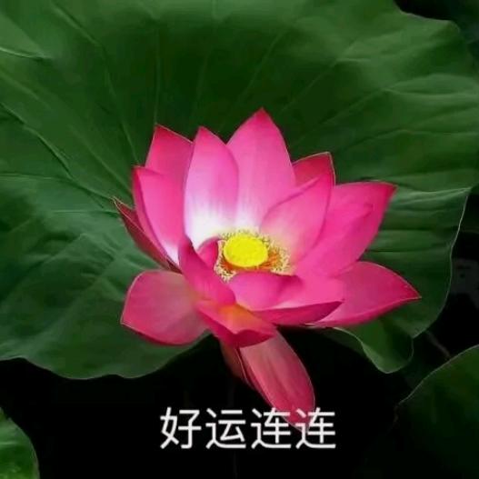 幸福美满