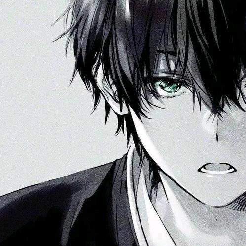 晓光hui
