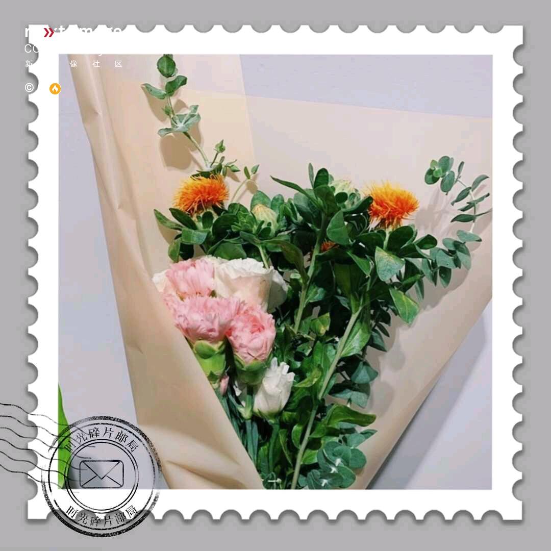 自由飞翔《缘》