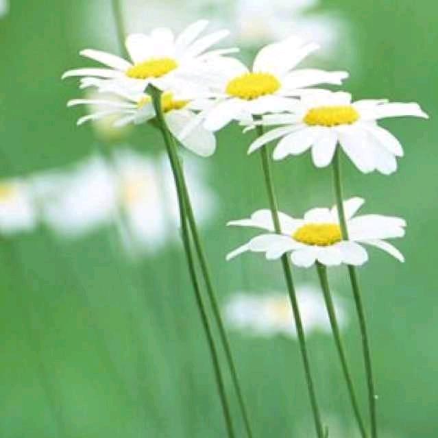 雨后～