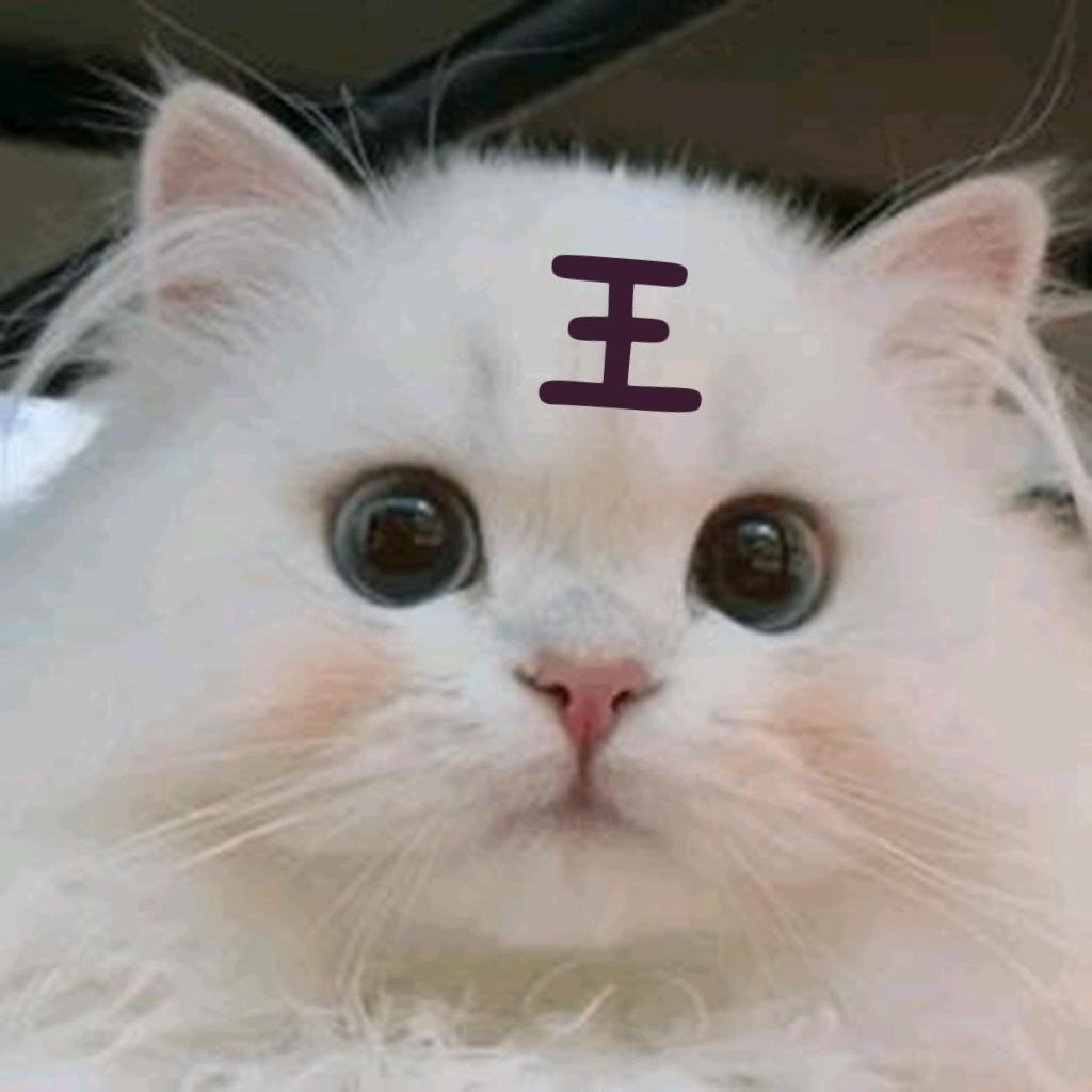 涂山苏苏
