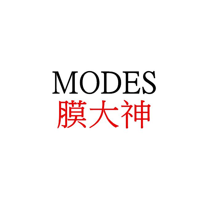 MODES膜大神汽车用品企业店