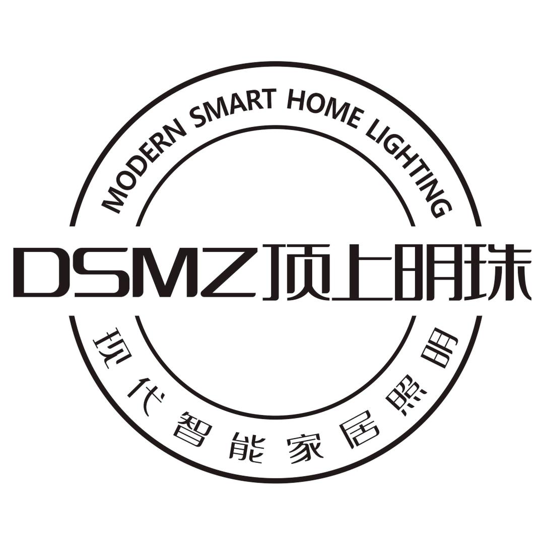 顶上明珠照明（现代智能家居照明厂家）