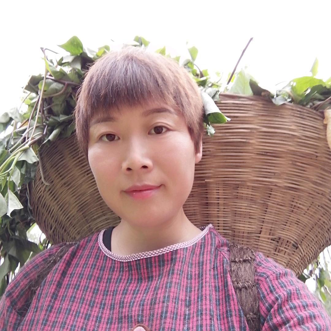 乱山子土鸡