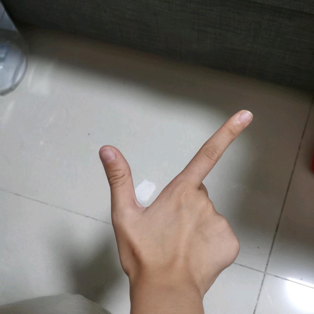 向瑶逢月