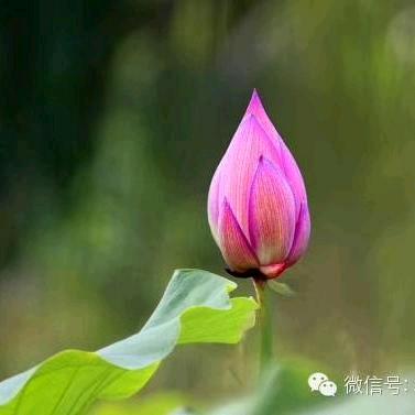 笑对人生😄😄