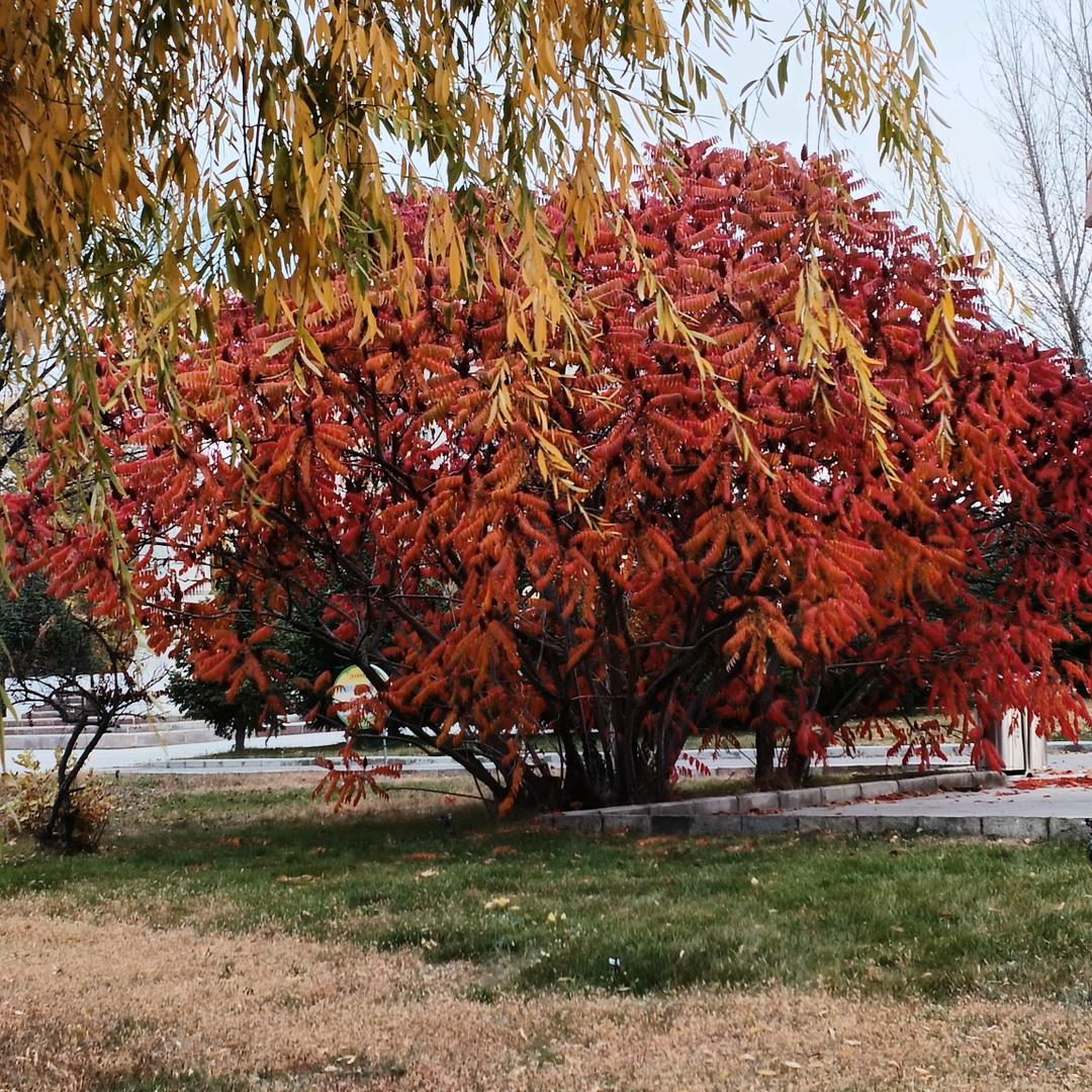 平平淡淡（拒绝私聊）