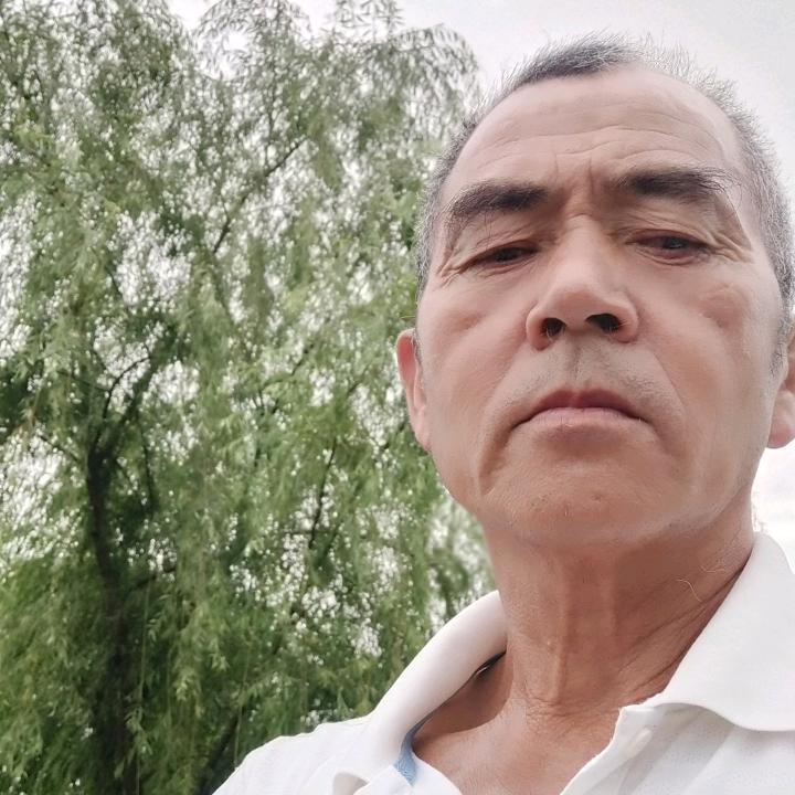 奋发篮天