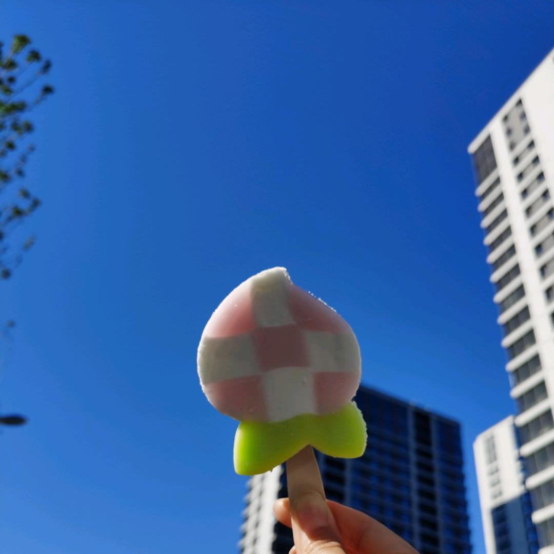 熊的菜菜