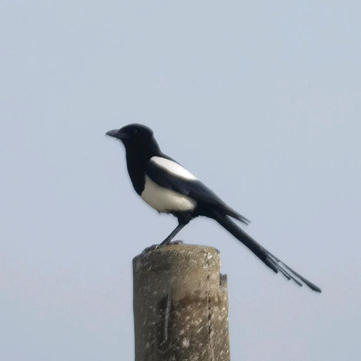 咏乐互联网销售店