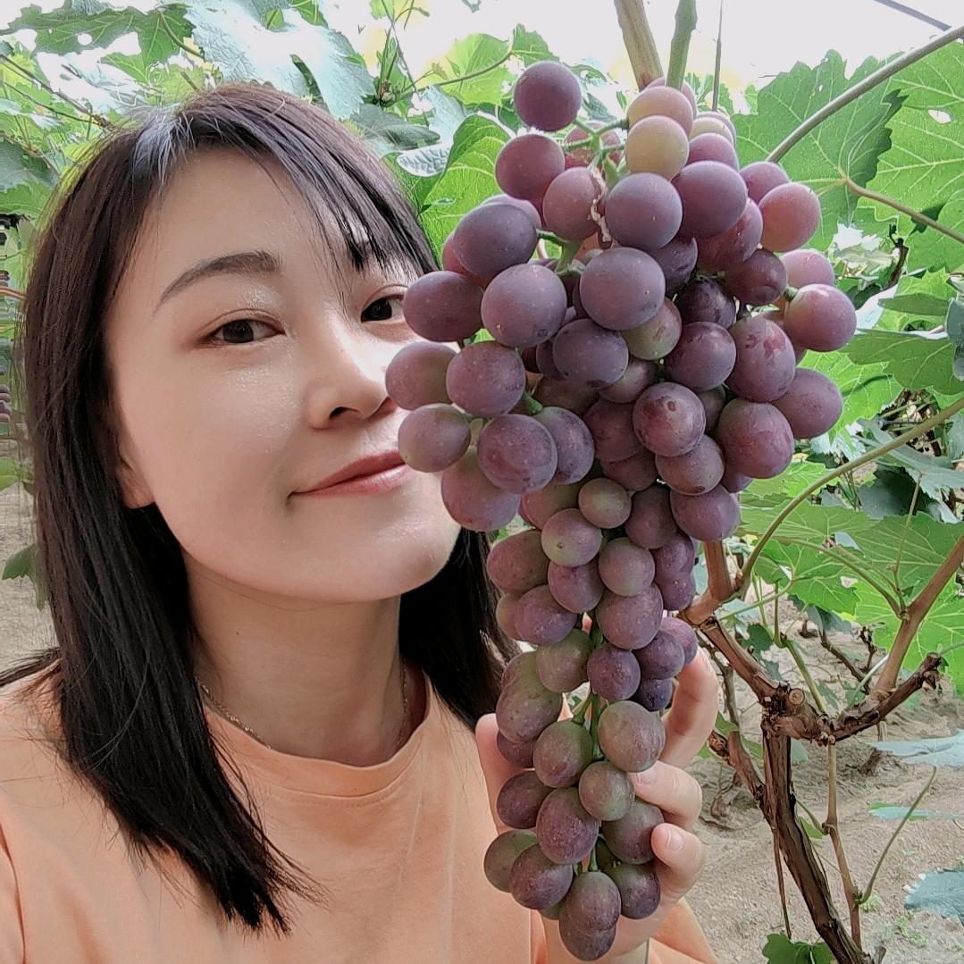 葡桃儿采摘聚会吧官方号