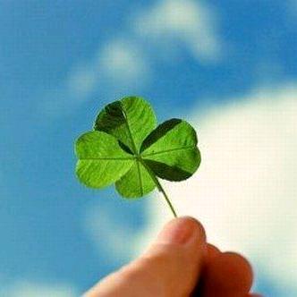 Good luck🍀