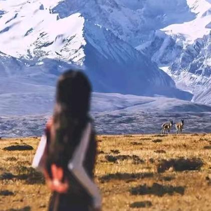 芯芯在这里❤️