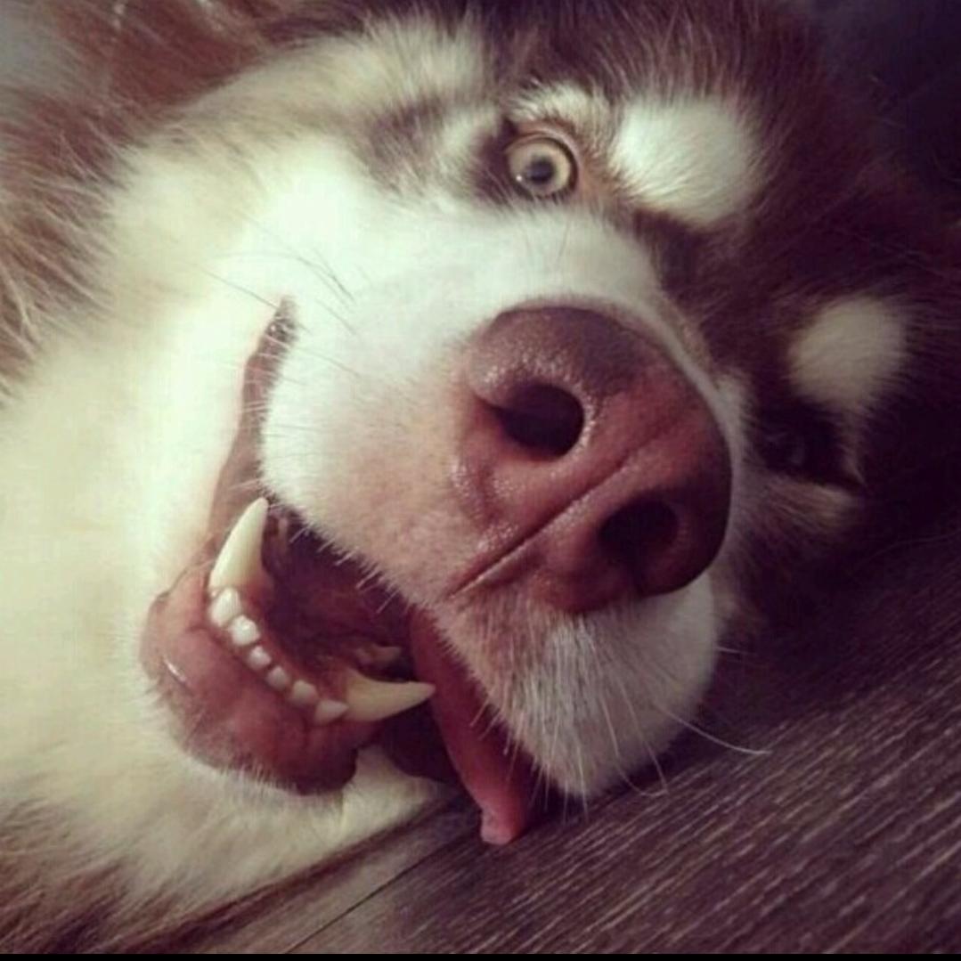 🌴🌈🌴良～策🌈🌴