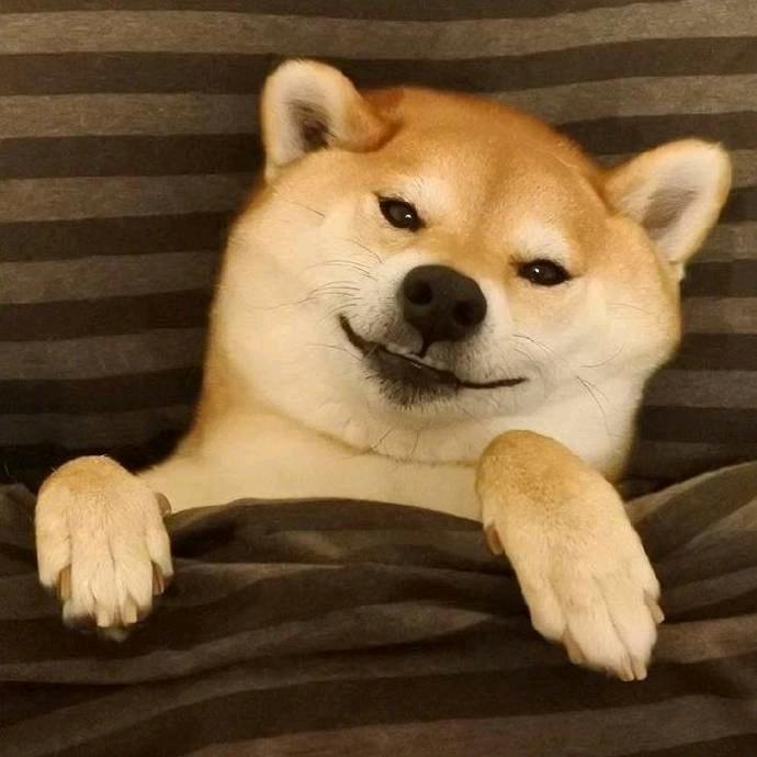 尒坧頭