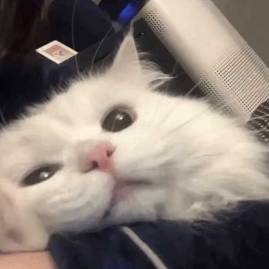 亲爱的悦