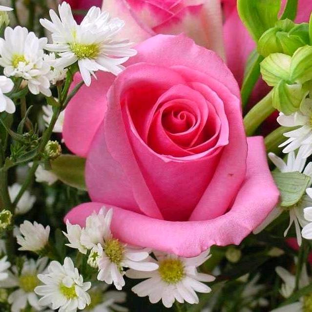 漂洋过海来看你