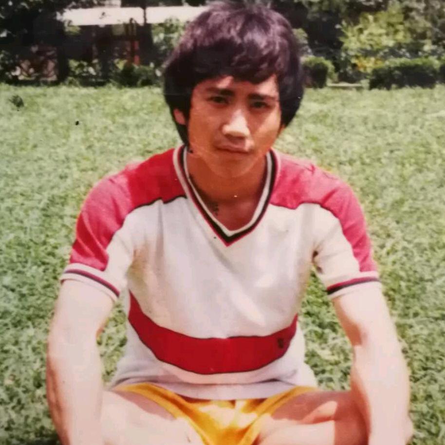 风中摇曳的向日葵🌻