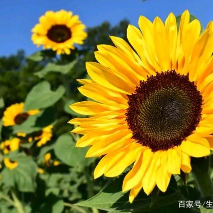 习惯（拒私聊）