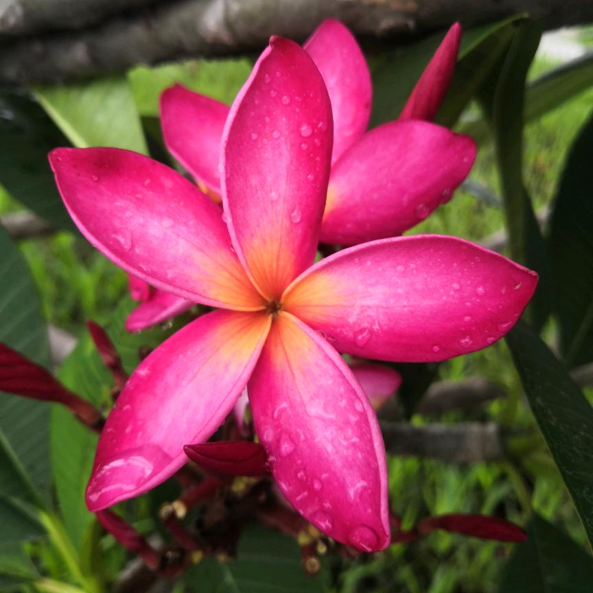 ღ᭄沉ꫛ默꧔ꦿ᭄💞࿐ᩚ