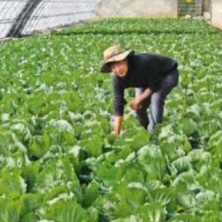 👉先做人！✍再做事！👈