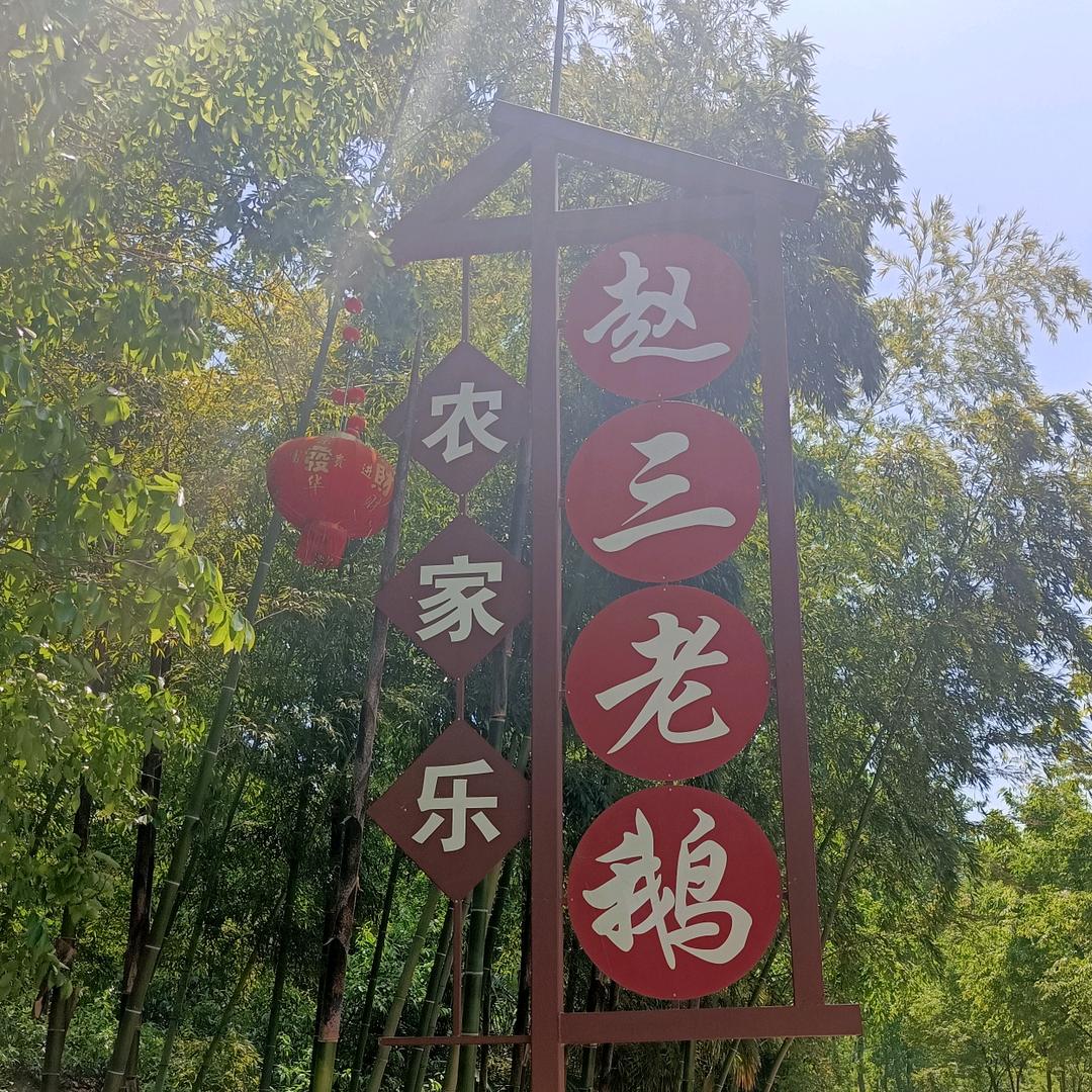 盱眙赵三大锅老鹅