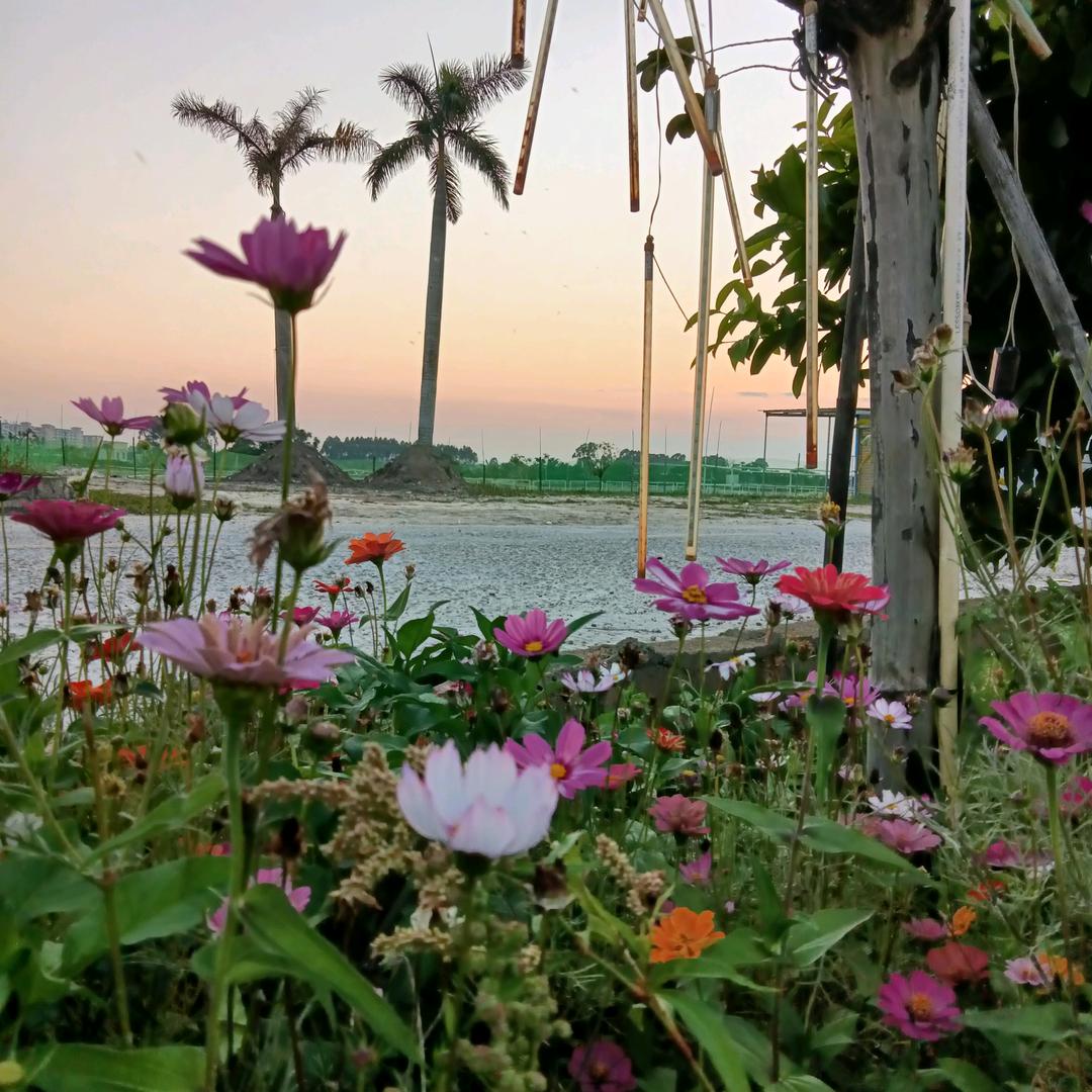 𝛇𝓬𝓥𝓮悲꯭欢💔⃟自渡ꪟ