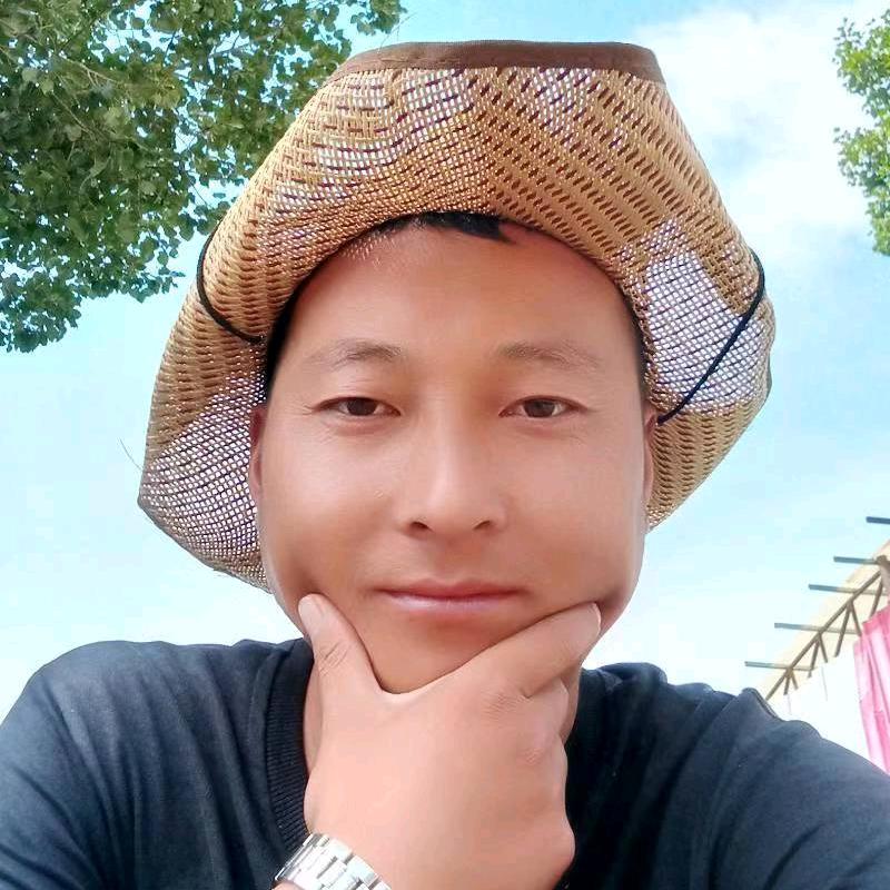 火鸟