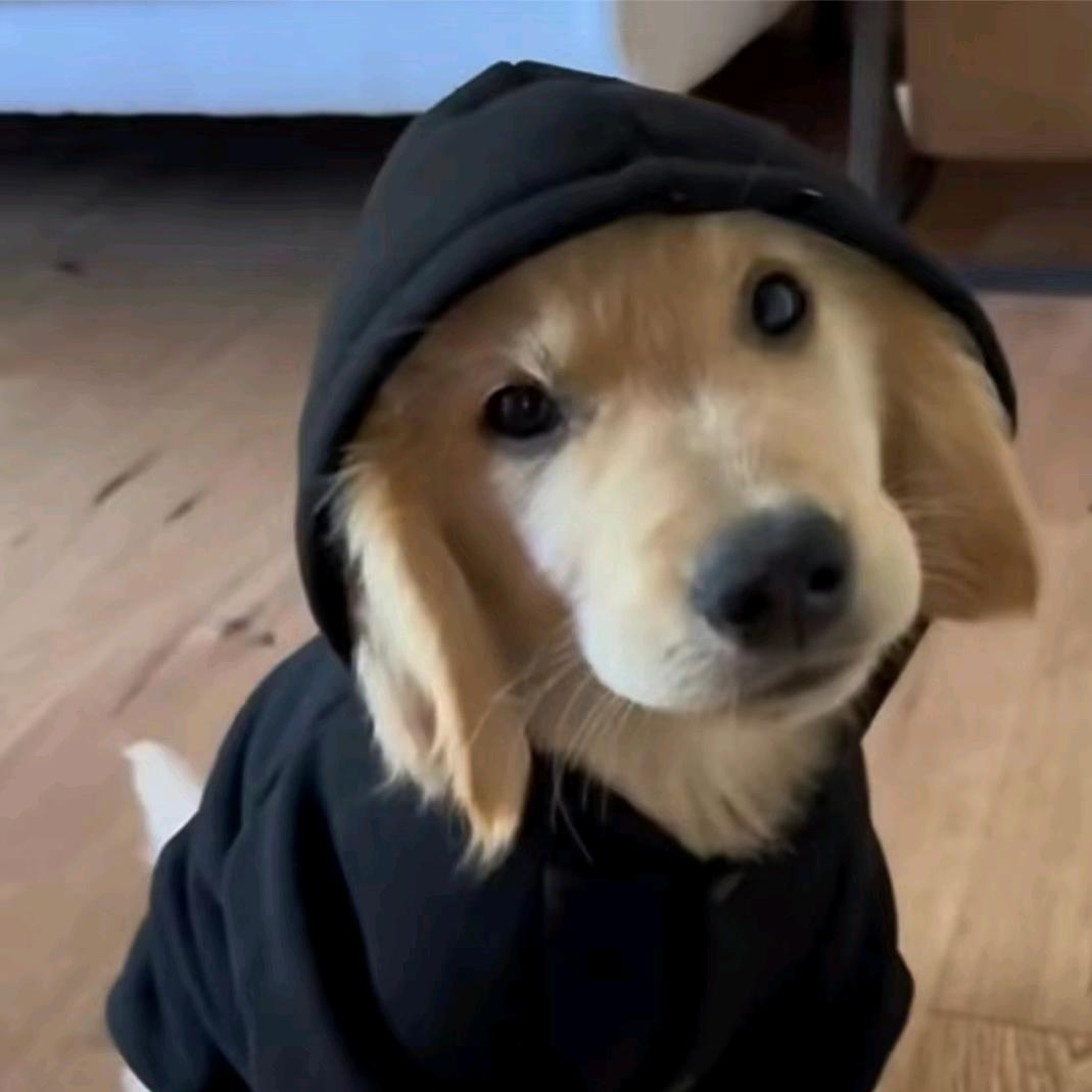 翻斗花园胡英俊